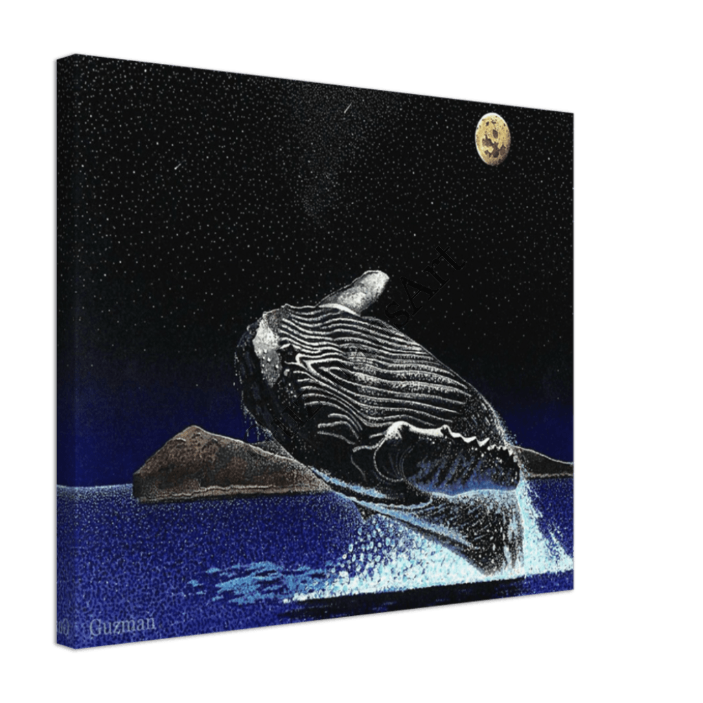 Moonlight Breach Over Molokini Canvas Print 50X60 Cm / 20X24 - Horizontal Material